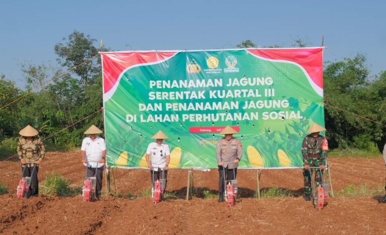 Polres Subang Sulap Kampung Sukamahi Jadi Sentra Jagung