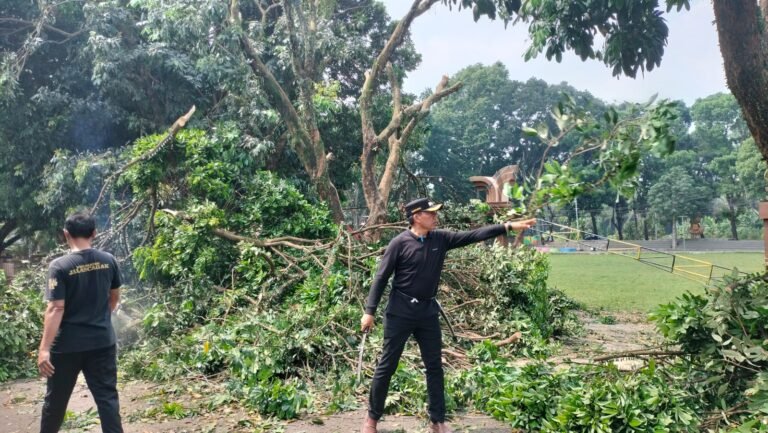 Pemerintah Kecamatan Jalancagak, Pangkas Pohon Rawan Tumbang