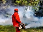 Sebanyak 37 Warga Kab Bandung Meninggal akibat DBD Sepanjang 2024