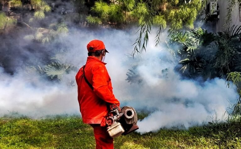 Sebanyak 37 Warga Kab Bandung Meninggal akibat DBD Sepanjang 2024