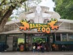 Dualisme Pengelolaan Bandung Zoo Dinilai Ganggu Operasional dan Konservasi