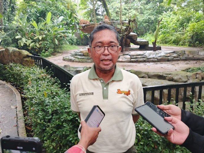 Bandung Zoo Tetap Menjadi Destinasi Wisata Favorit Warga saat Liburan