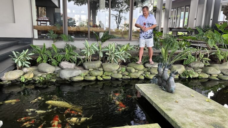 Usai Meraih Prestasi Juara Dunia, Hartono Soekwanto Jalani Misi Bantu Budidaya Ikan Koi