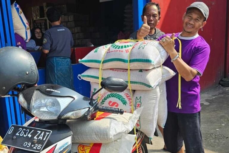 Pemerintah Wajib Aktif Normalisasi HET Guna Cegah Beras Oplosan