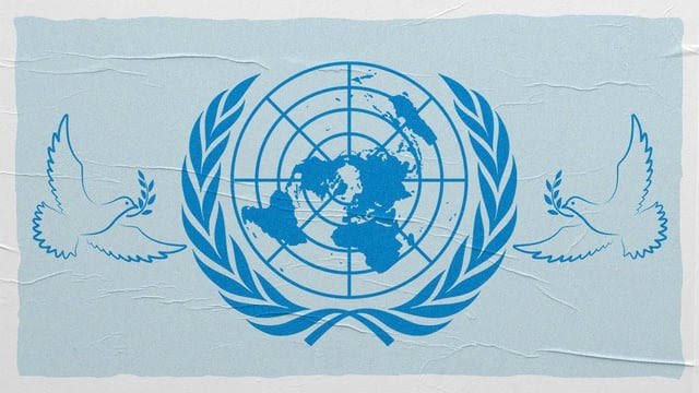 Pelapor Khusus PBB Ungkap Daftar Perusahaan yang Membantu Israel