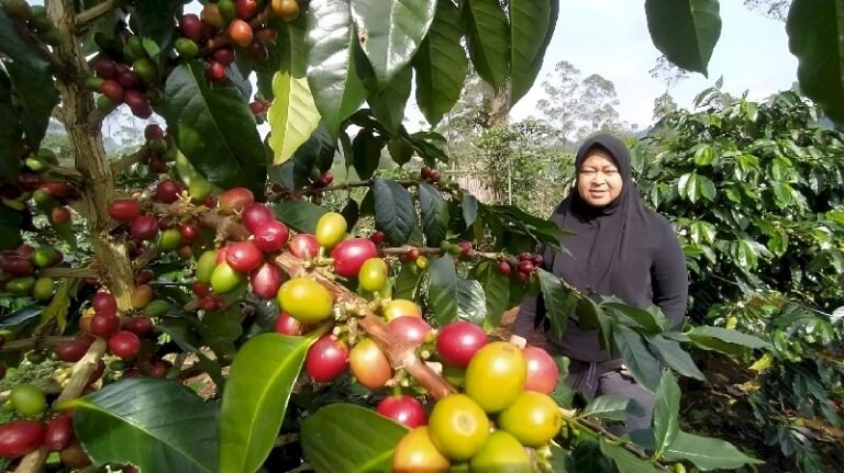 Petani Kab Bandung Ingin KMP Jadi Solusi Ketersediaan Pupuk dan Harga Panen