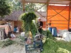 Berita Terkait