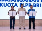 Berita Terkait