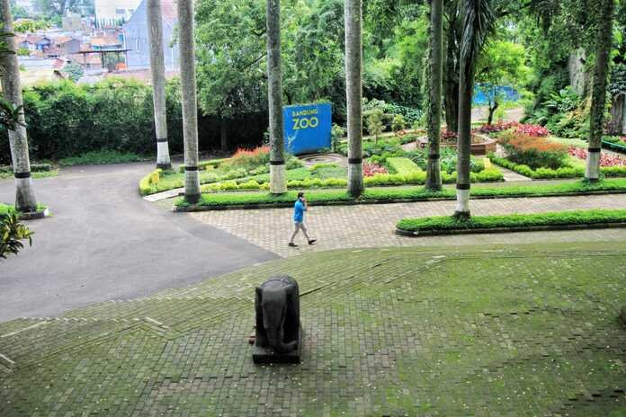 Pemkot Bandung Siap Hadapi Gugatan Manajemen Lama Bandung Zoo
