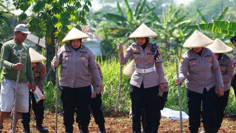 Polwan Polres Subang Tanam Jagung Bersama Petani