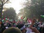 Berita Terkait