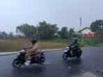 Berita Terkait