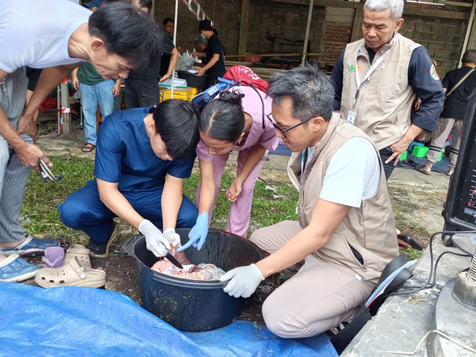 DKPP Kota Bandung Terjunkan Tim Pemeriksa Hewan Kurban Agar Daging Kurban Aman Dikonsumsi